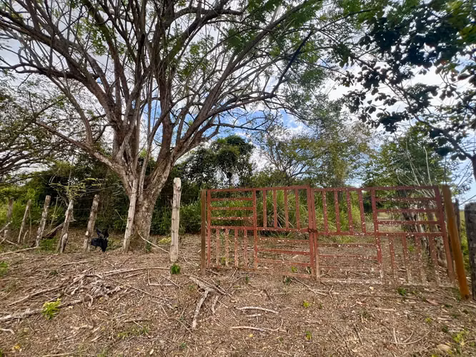 SANTA CLARA FINCA