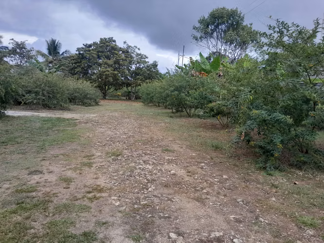 Venta de Terreno de 10,076 m2 en la Vía Interamericana en Las Garzas, Pacora
