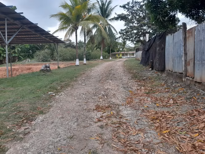 Venta de Terreno de 10,076 m2 en la Vía Interamericana en Las Garzas, Pacora