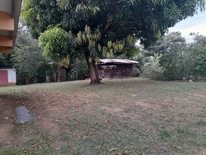 Venta de Terreno de 10,076 m2 en la Vía Interamericana en Las Garzas, Pacora