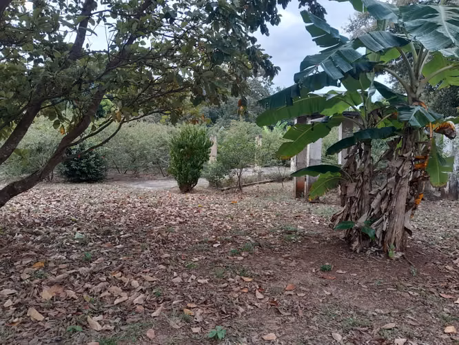 Venta de Terreno de 10,076 m2 en la Vía Interamericana en Las Garzas, Pacora