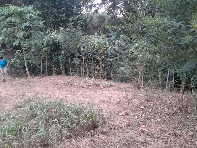 Venta de Terreno de 10,076 m2 en la Vía Interamericana en Las Garzas, Pacora