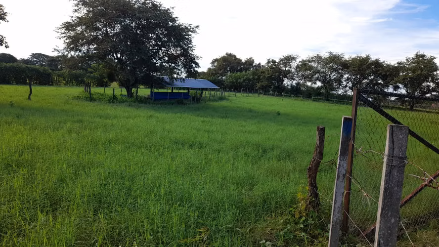Terreno en Venta en Santo Domingo, Las Tablas - Imagen 2