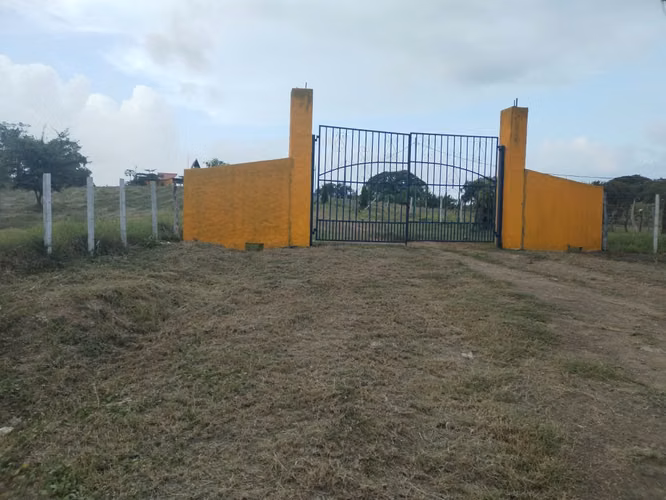 Terreno en Venta en Santo Domingo, Las Tablas - Imagen 11