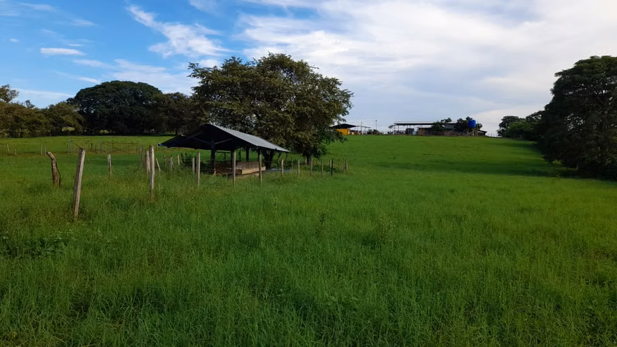 Terreno en Venta en Santo Domingo, Las Tablas - Imagen 4