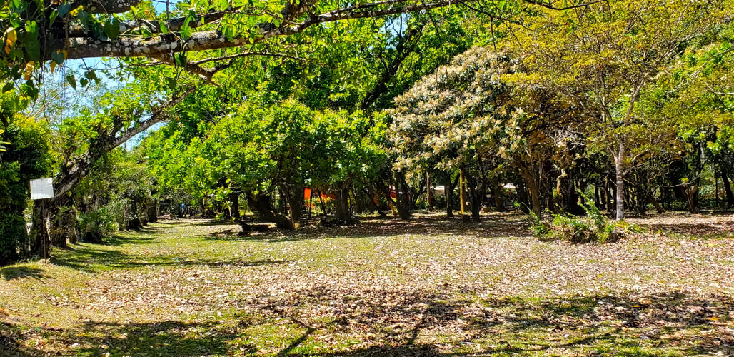 VENDO TERRENO PLANO DE 2 HECTAREAS EN EL VALLE - Imagen 3