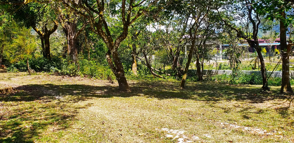 VENDO TERRENO PLANO DE 2 HECTAREAS EN EL VALLE - Imagen 6