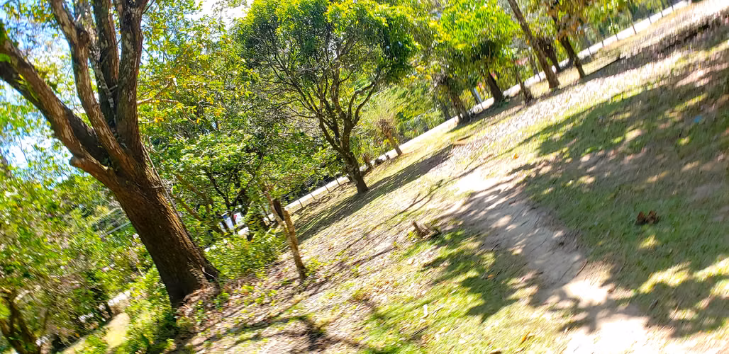 VENDO TERRENO PLANO DE 2 HECTAREAS EN EL VALLE - Imagen 11