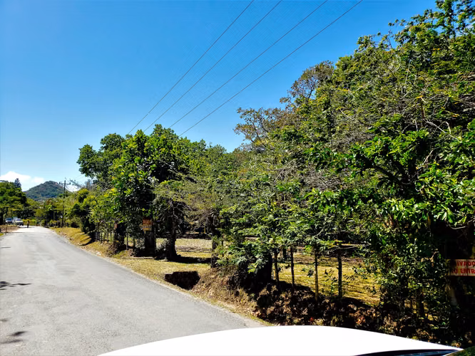 VENDO TERRENO PLANO DE 2 HECTAREAS EN EL VALLE - Imagen 13