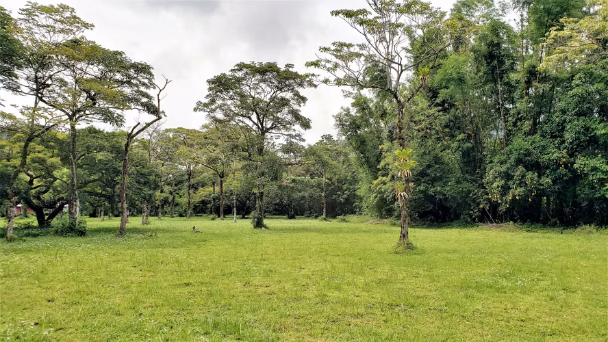 VENDO LOTE PLANO DE 9,000Mts EN EL VALLE