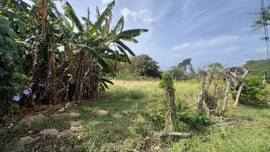 Lote en venta en Gorgona | 600 m² planos cerca de la playa