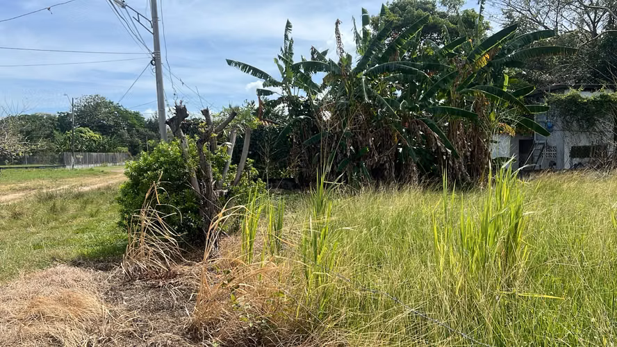Lote en venta en Gorgona | 600 m² planos cerca de la playa