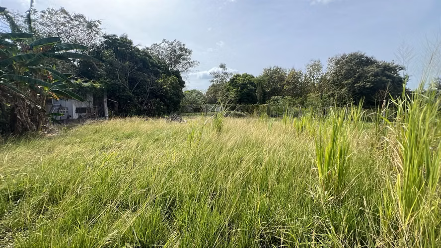 Lote en venta en Gorgona | 600 m² planos cerca de la playa
