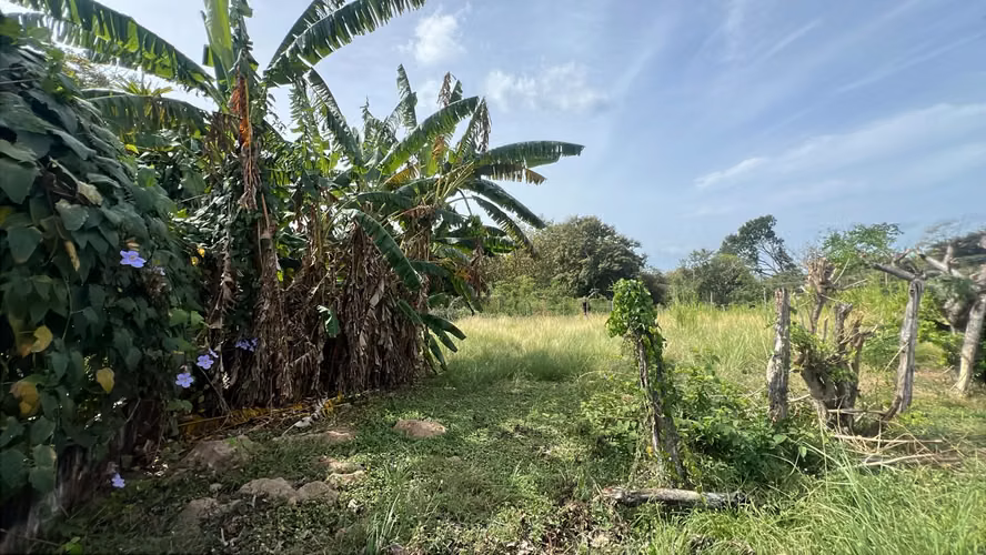Lote en venta en Gorgona | 600 m² planos cerca de la playa