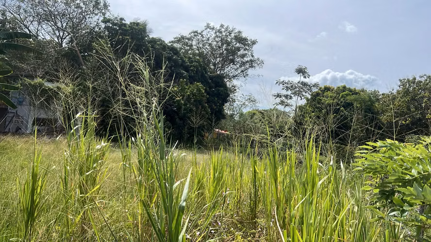 Lote en venta en Gorgona | 600 m² planos cerca de la playa