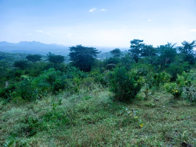 VENDO HERMOSA FINCA EN CALOBRE DE 55 HECTÁREAS EN CALOBRE