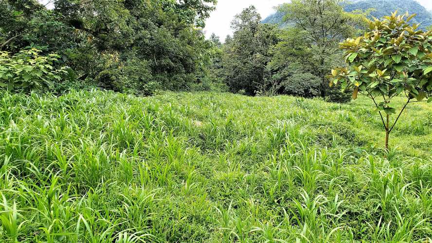 VENDO TERRENO DE 24940MTS. EN EL VALLE - Imagen 3