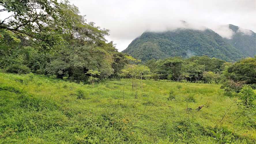 VENDO TERRENO DE 24940MTS. EN EL VALLE - Imagen 6