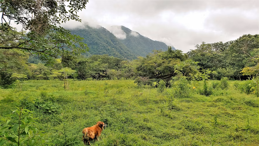 VENDO TERRENO DE 24940MTS. EN EL VALLE