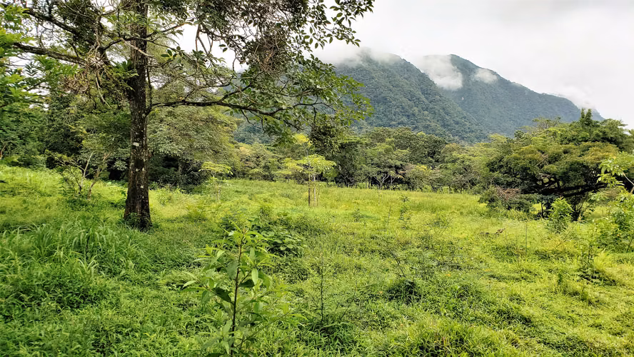VENDO TERRENO DE 24940MTS. EN EL VALLE - Imagen 5