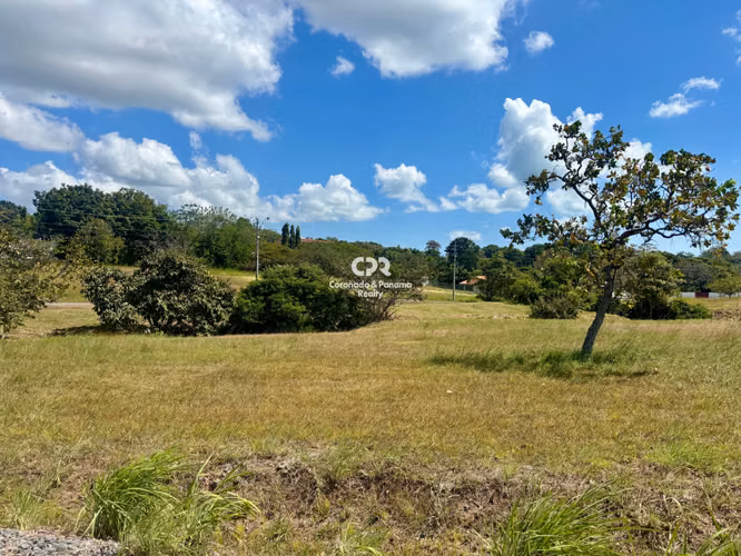 Venta de terrenos en Coronado ¡FINANCIAMIENTO DIRECTO! (Desde $403/mes)
