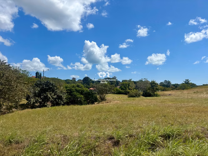 Venta de terrenos en Coronado ¡FINANCIAMIENTO DIRECTO! (Desde $403/mes)