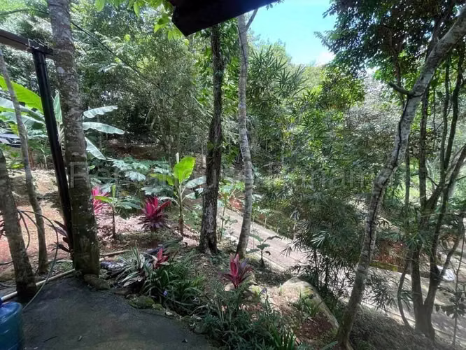 Vendo Terreno en Vereda El Ñeque, Guararé, Los Santos 26-5606GG