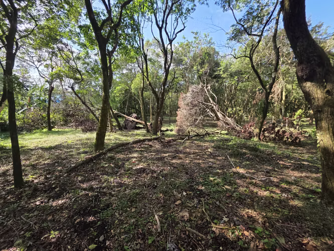 Se Vende Terrenos El Valle