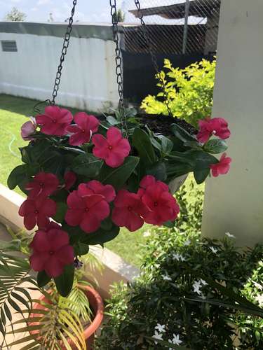 Apartamento bonito y amueblado completo