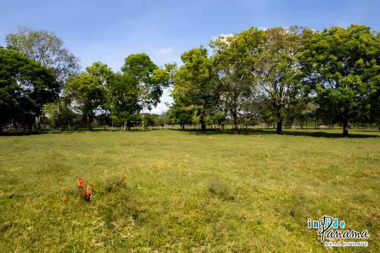 Propiedad de 4 Ha Ideal para Urbanizar en David Chiriquí