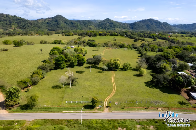 Propiedad de 4 Ha Ideal para Urbanizar en David Chiriquí