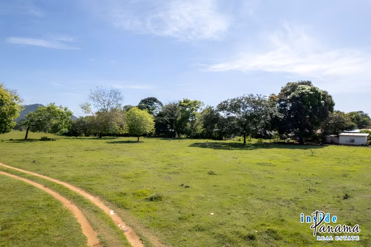 Propiedad de 4 Ha Ideal para Urbanizar en David Chiriquí
