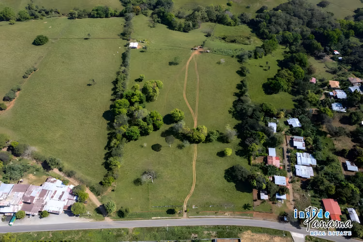 Propiedad de 4 Ha Ideal para Urbanizar en David Chiriquí