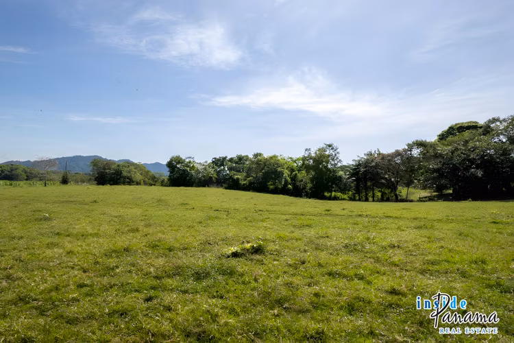 Propiedad de 4 Ha Ideal para Urbanizar en David Chiriquí