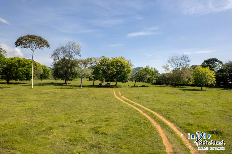 Propiedad de 4 Ha Ideal para Urbanizar en David Chiriquí
