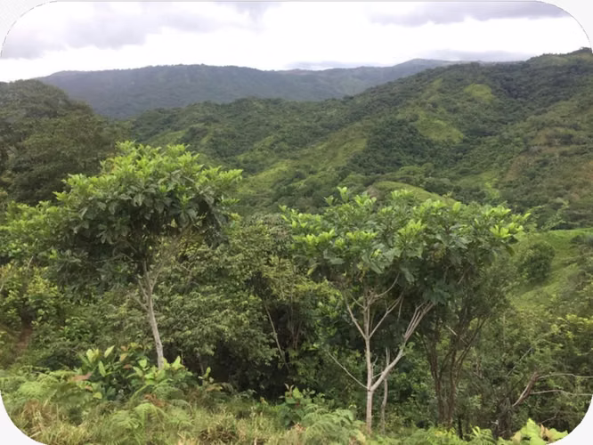 Venta de Finca en Veraguas, Soná, Cativé, 526 hectáreas
