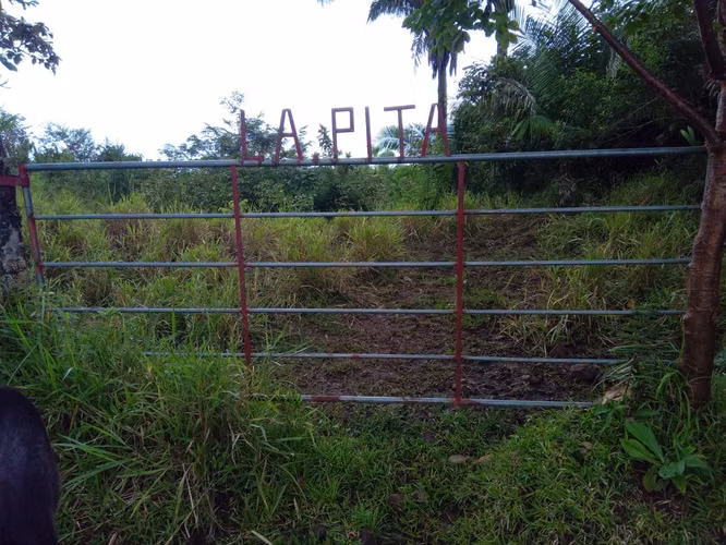 Venta de Finca en Veraguas, Soná, Cativé, 526 hectáreas
