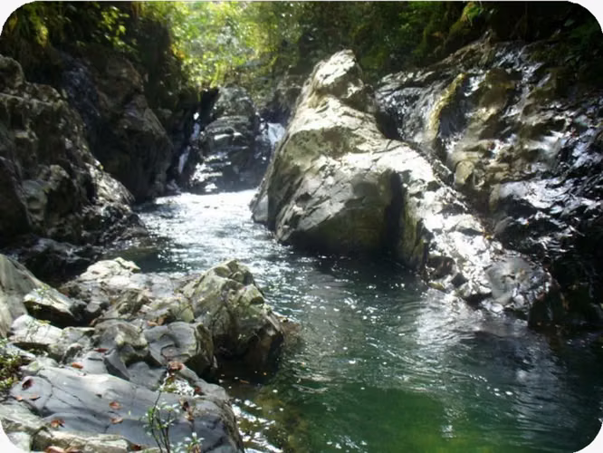 Venta de Finca en Veraguas, Soná, Cativé, 526 hectáreas