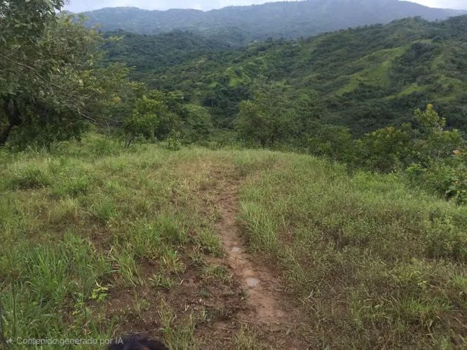 Venta de Finca en Veraguas, Soná, Cativé, 526 hectáreas