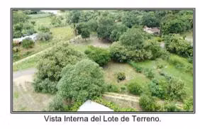 Lote en venta en El Bijao-Los Olivos | 2,117 m² planos y céntricos