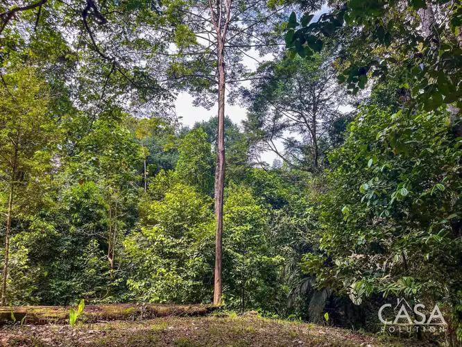 Casa Frente Al Mar En Venta En La Isla Cayo De Agua, Bocas Del Toro - Imagen 12