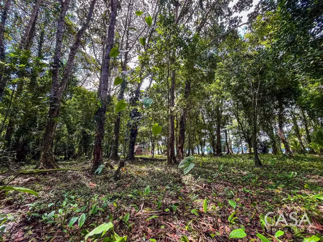 Casa Frente Al Mar En Venta En La Isla Cayo De Agua, Bocas Del Toro - Imagen 13