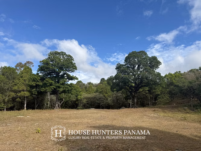 Boquete Panama Luxury View Land