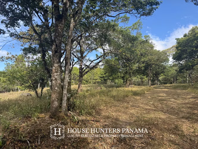Terreno de lujo con vistas en Boquete, Panamá