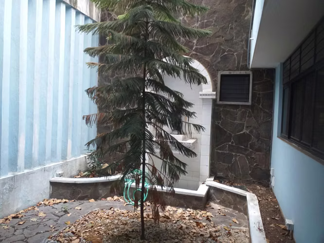 Terreno en Venta en San Francisco BDP
