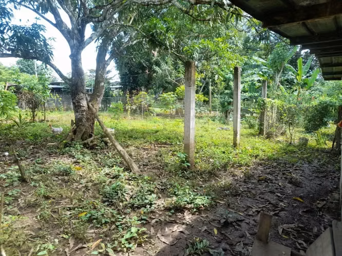 SE VENDE 1.5 Hectárea vía principal Tortí 65.000$ - Imagen 3