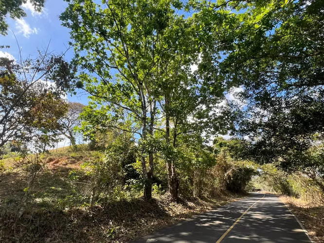 Venta de Terreno en Macaracas Los Santos