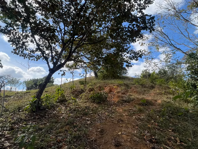 Venta de Terreno en Macaracas Los Santos