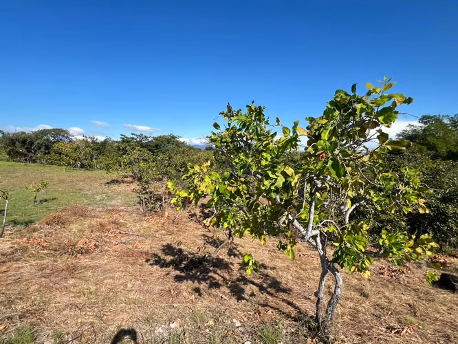 Venta de Terreno en San Carlos La Ensenada
