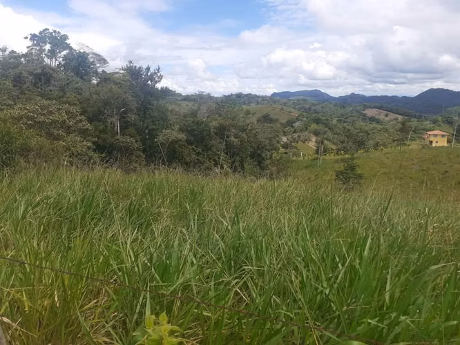 SE VENDE FINCA  PARA GANADERÍA 85 HECTÁREAS  CAPIRA